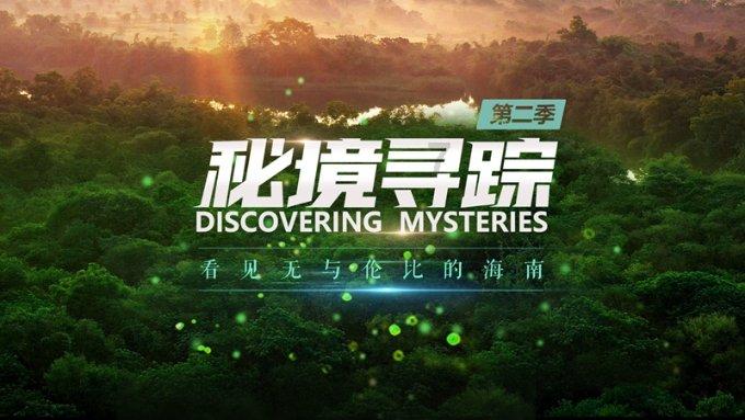 助力“绵阳造”卖向全世界